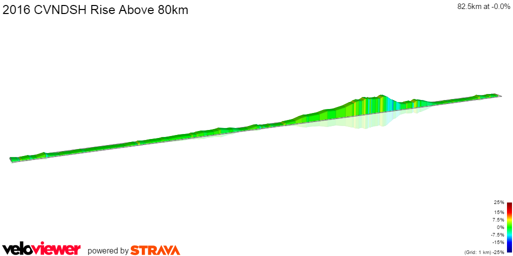 2D Elevation profile image for 2016 CVNDSH Rise Above 80km