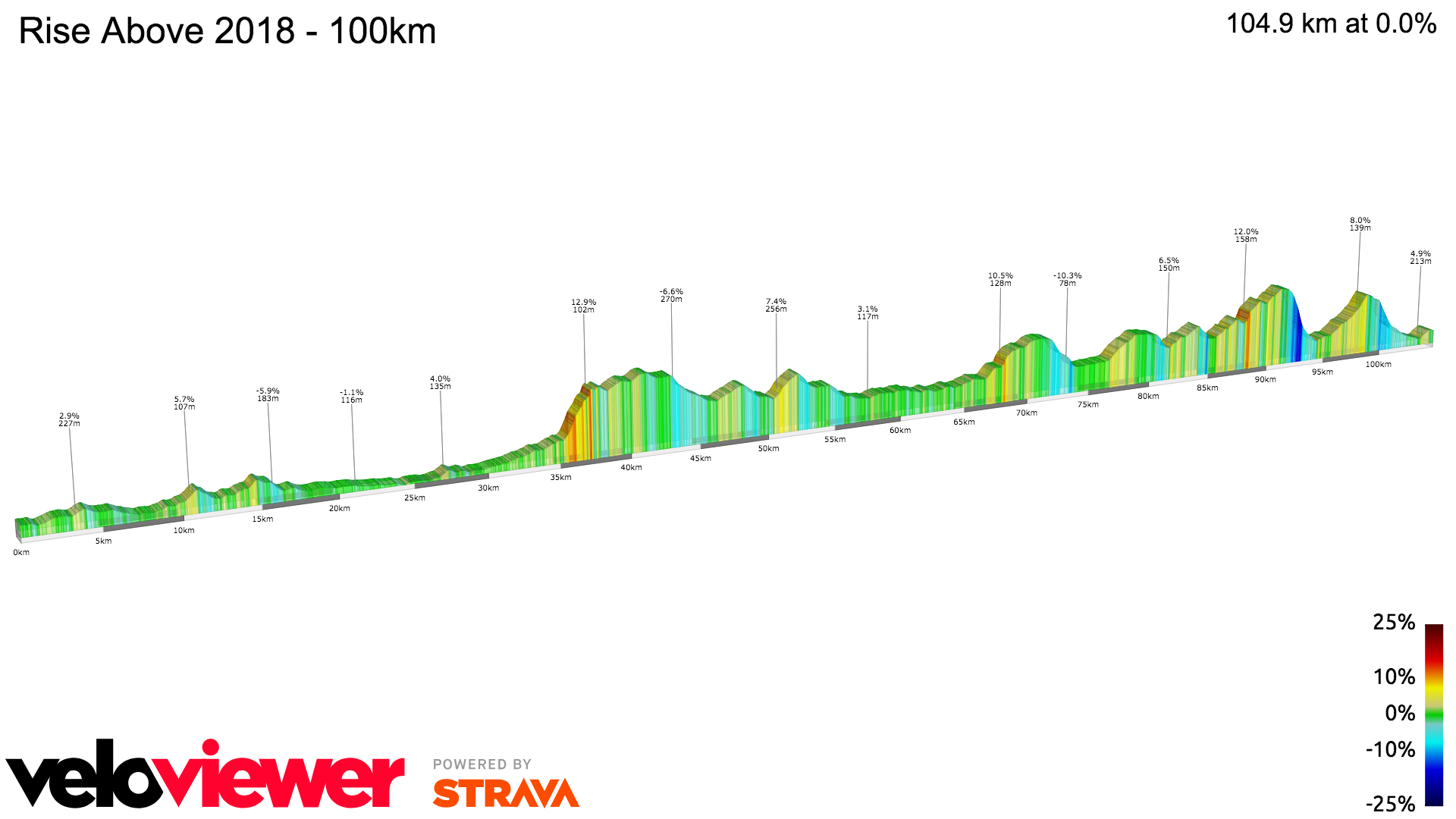 2D Elevation profile image for Rise Above 2018 - 100km