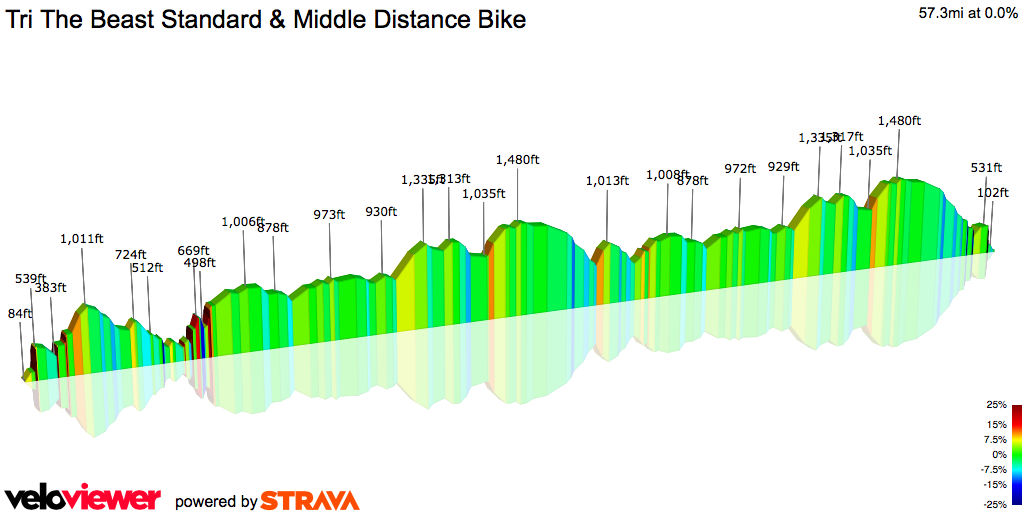 2D Elevation profile image for Tri The Beast Standard & Middle Distance Bike