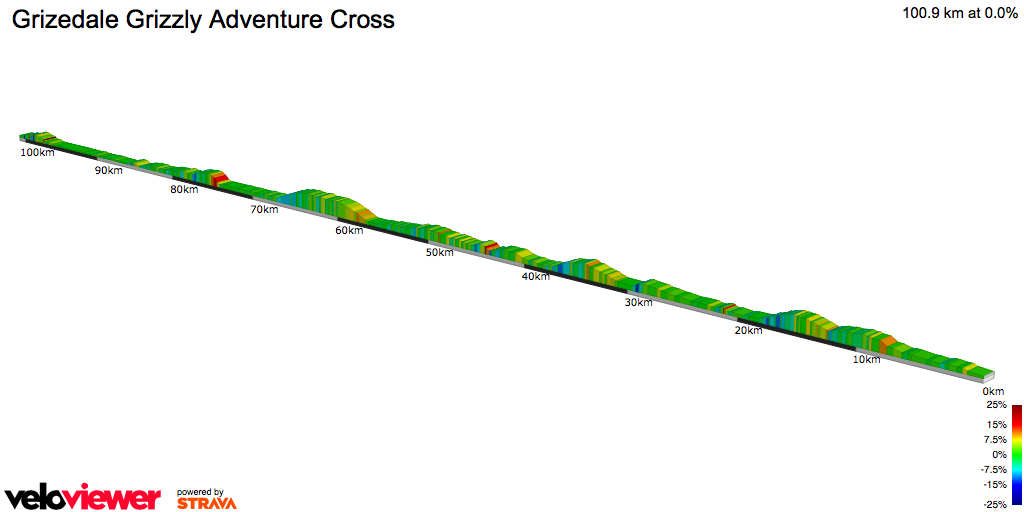 2D Elevation profile image for Grizedale Grizzly Adventure Cross