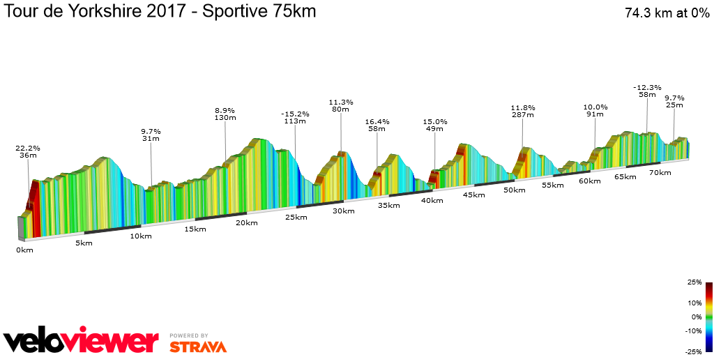 2D Elevation profile image for