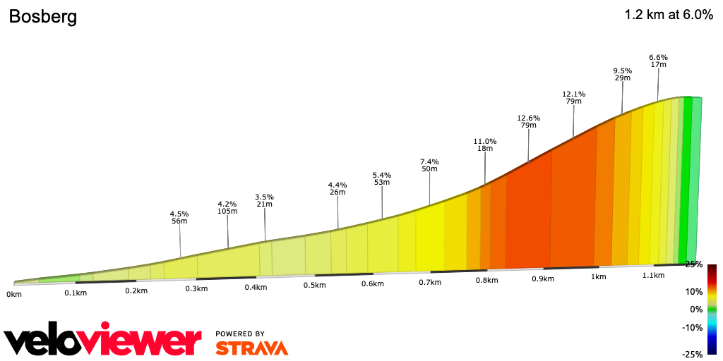 2D Elevation profile image for Bosberg