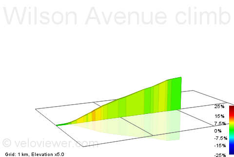 2D Elevation profile image for Wilson Avenue climb