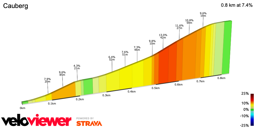 2D Elevation profile image for Cauberg