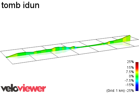 2D Elevation profile image for tomb idun