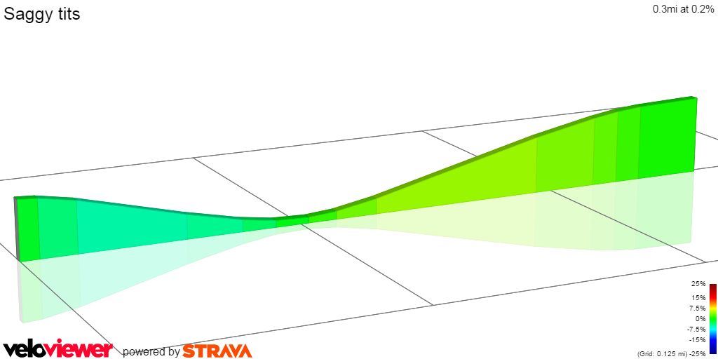 2D Elevation profile image for Saggy tits