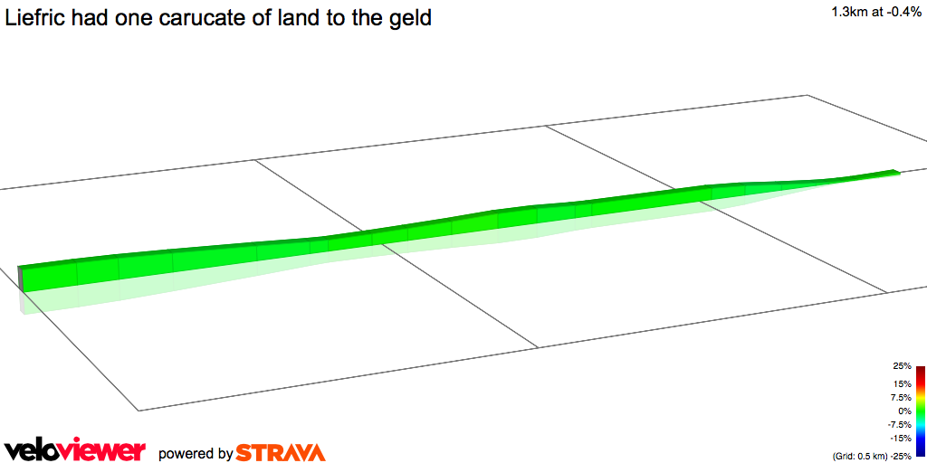 2D Elevation profile image for Liefric had one carucate of land to the geld