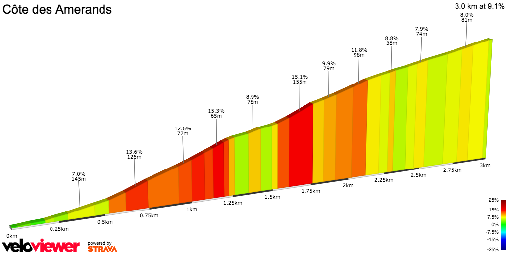 2D Elevation profile image for Côte des Amerands