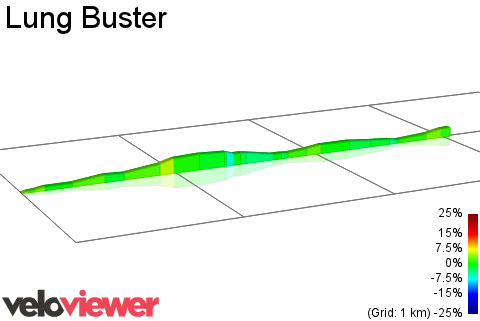 2D Elevation profile image for Lung Buster