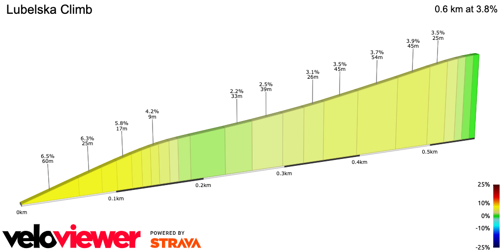 2D Elevation profile image for Lubelska Climb