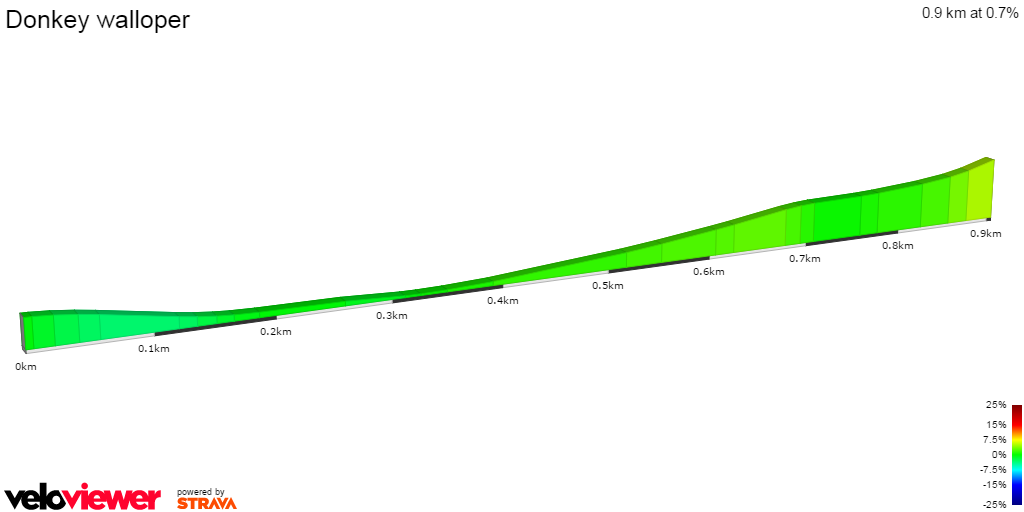 2D Elevation profile image for Donkey walloper 