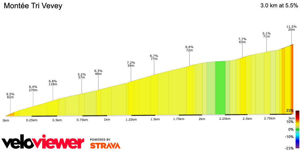2D Elevation profile image for Montée Tri Vevey