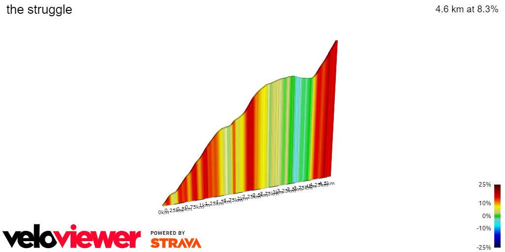 2D Elevation profile image for the struggle