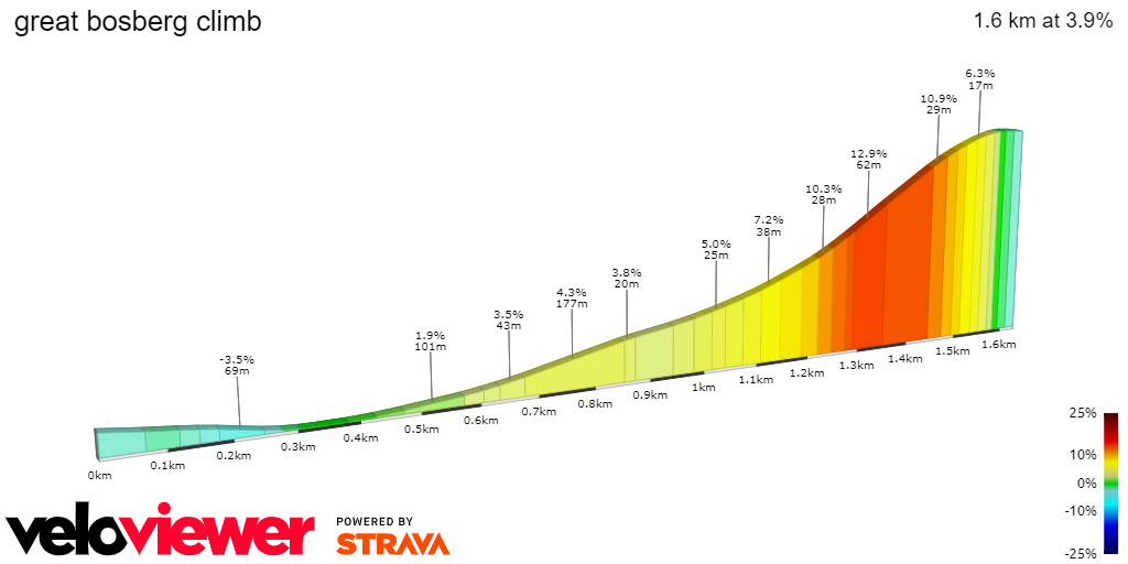 2D Elevation profile image for great bosberg climb