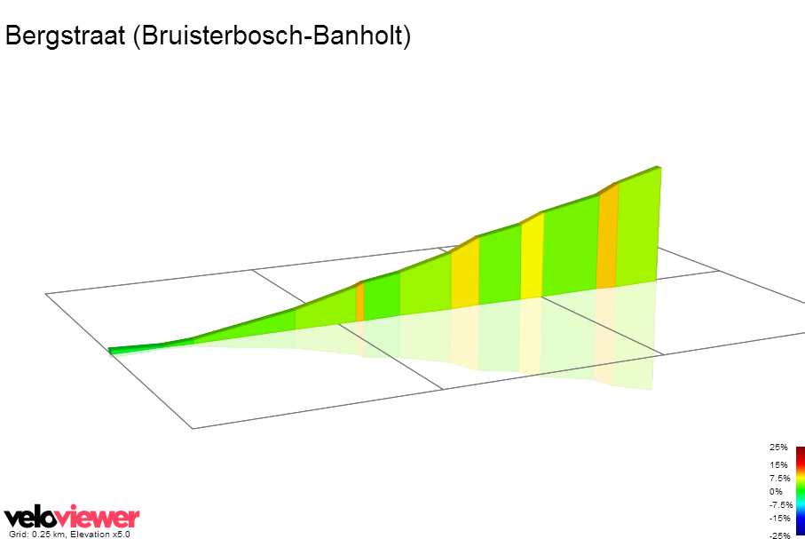 2D Elevation profile image for Bergstraat (Bruisterbosch-Banholt)