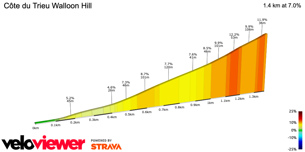 2D Elevation profile image for Côte du Trieu Walloon Hill