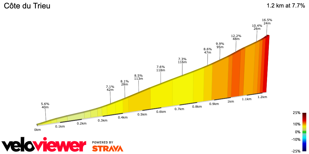 2D Elevation profile image for Côte du Trieu