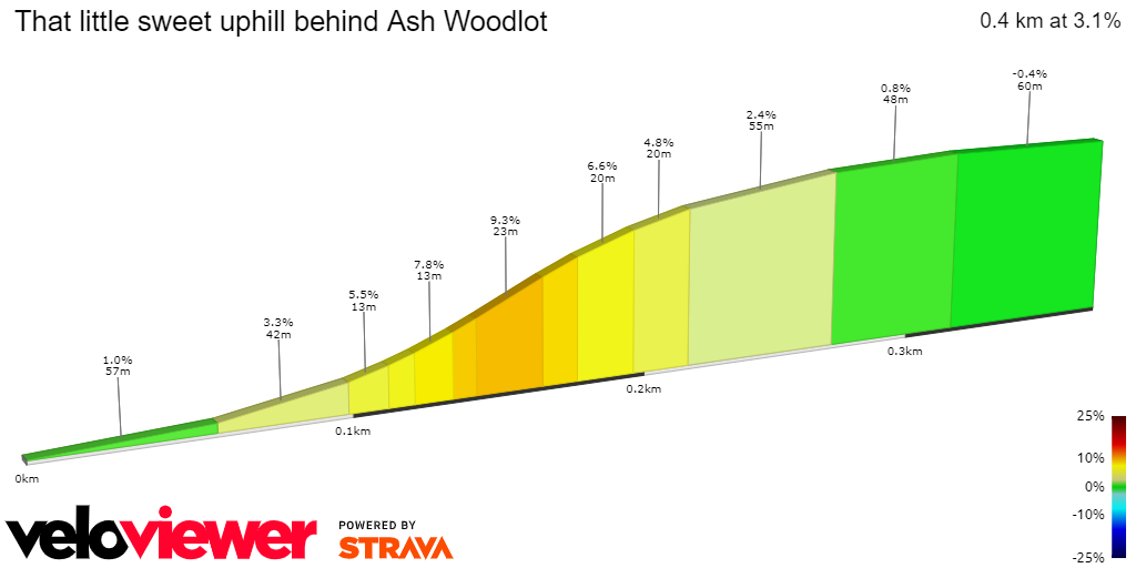 2D Elevation profile image for That little sweet uphill behind Ash Woodlot