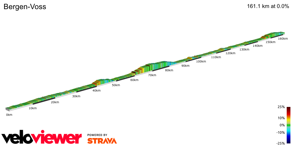 2D Elevation profile image for Bergen-Voss