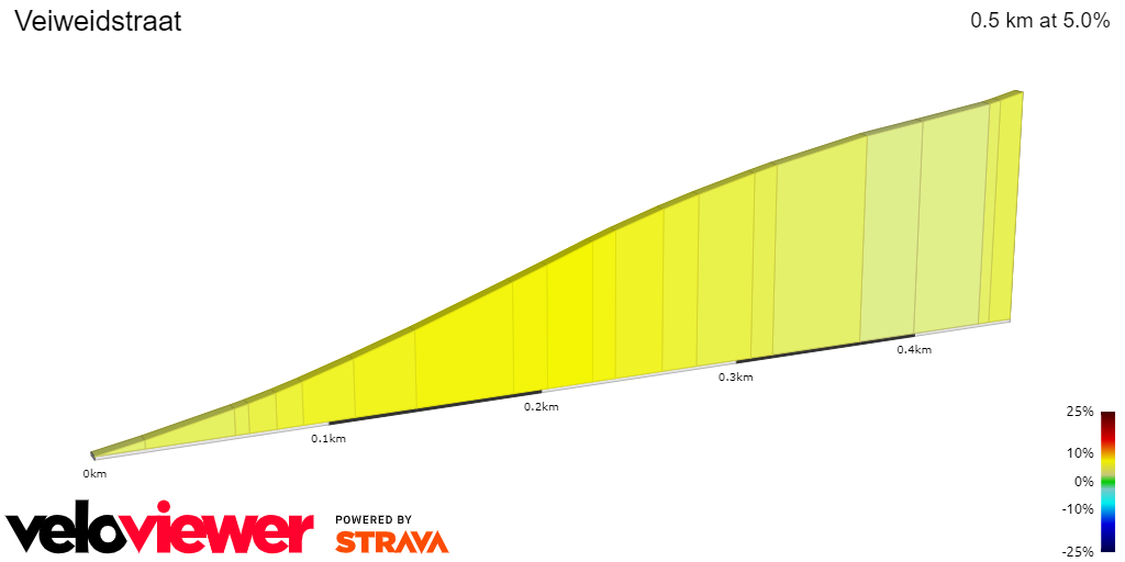 2D Elevation profile image for Veiweidstraat