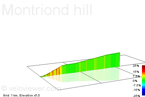 2D Elevation profile image for Montriond hill