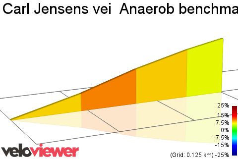 2D Elevation profile image for Carl Jensens vei  Anaerob benchmark 2