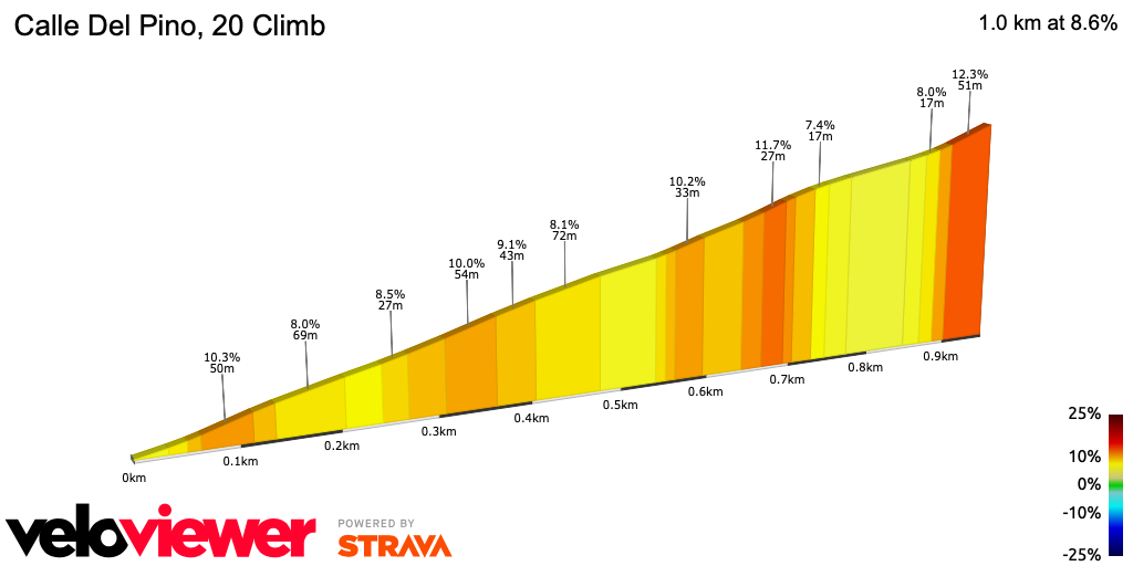 2D Elevation profile image for Calle Del Pino, 20 Climb