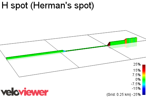 2D Elevation profile image for H spot (Herman's spot)