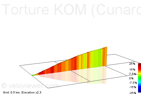 2D Elevation profile image for Torture KOM (Cunard)