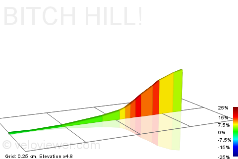 2D Elevation profile image for BITCH HILL!