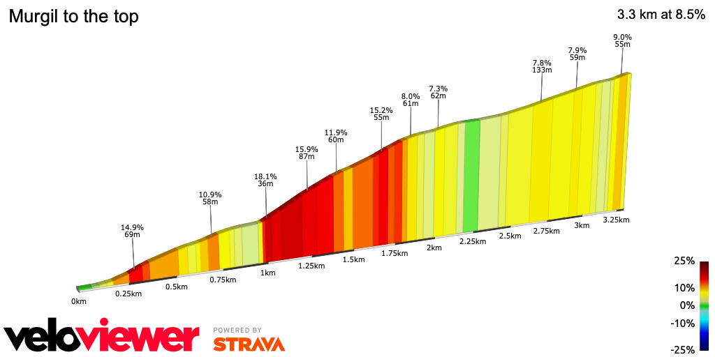 2D Elevation profile image for Murgil to the top