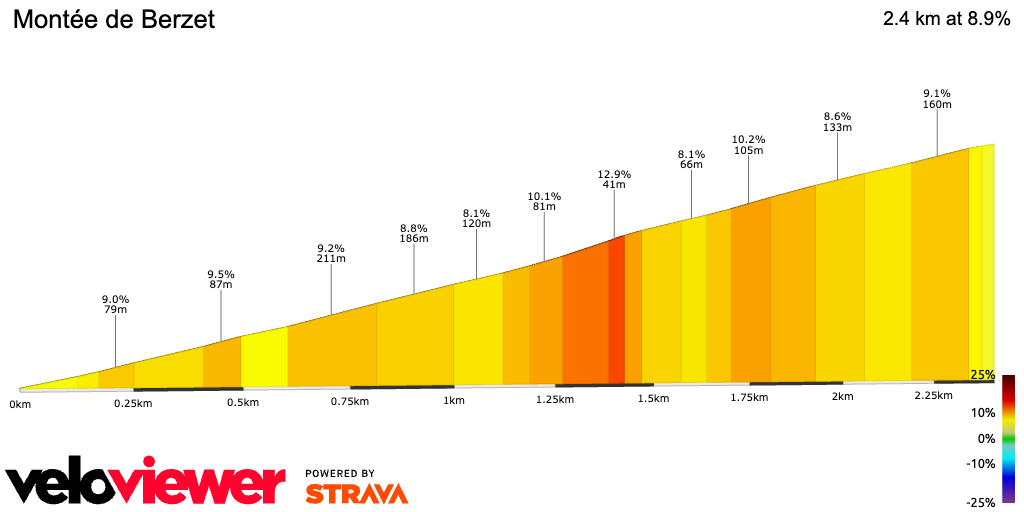 2D Elevation profile image for Montée de Berzet