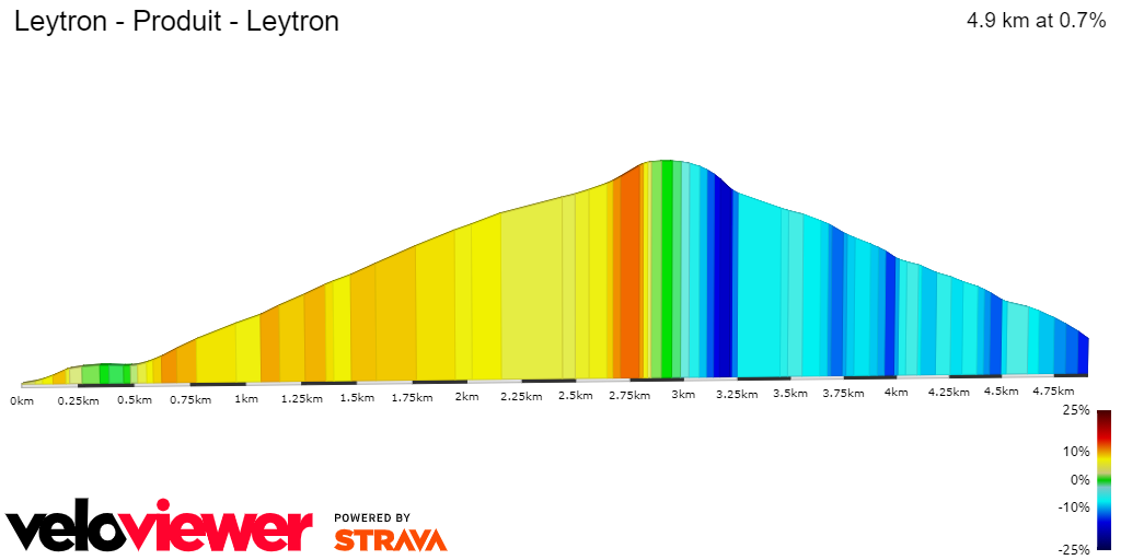 2D Elevation profile image for Leytron - Produit - Leytron