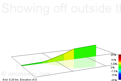 2D Elevation profile image for Showing off outside the pub