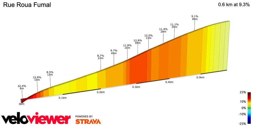 2D Elevation profile image for Rue Roua Fumal