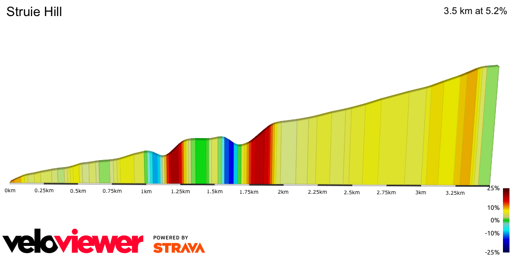 2D Elevation profile image for Struie Hill