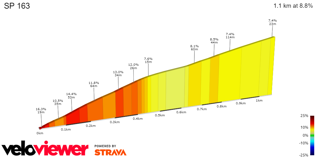 2D Elevation profile image for SP 163