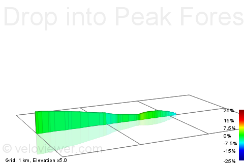 2D Elevation profile image for Drop into Peak Forest