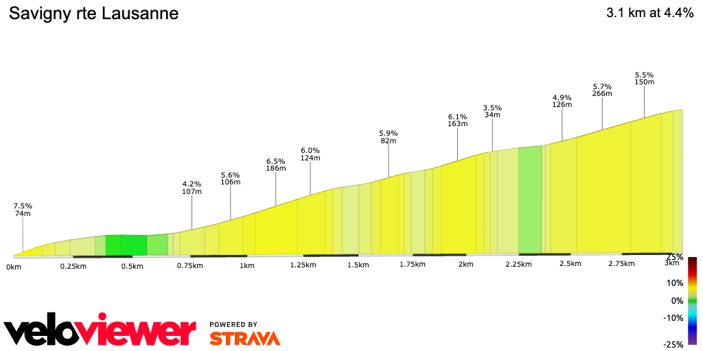 2D Elevation profile image for Savigny rte Lausanne