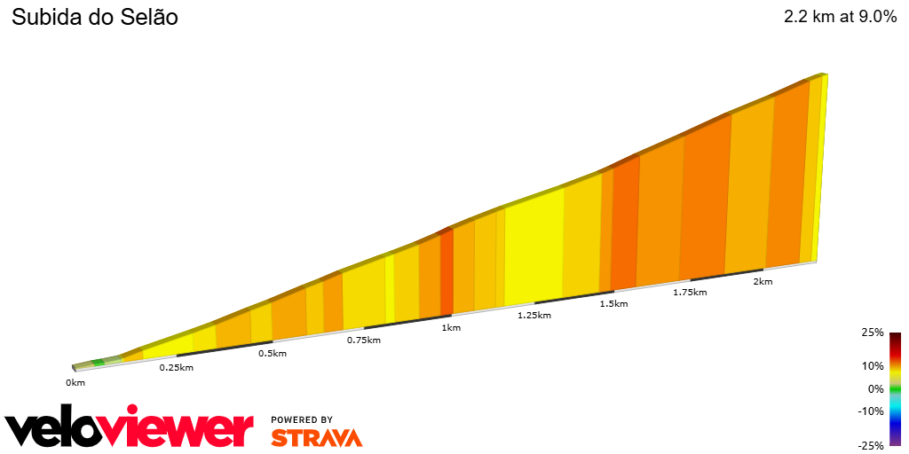 2D Elevation profile image for Subida do Selão