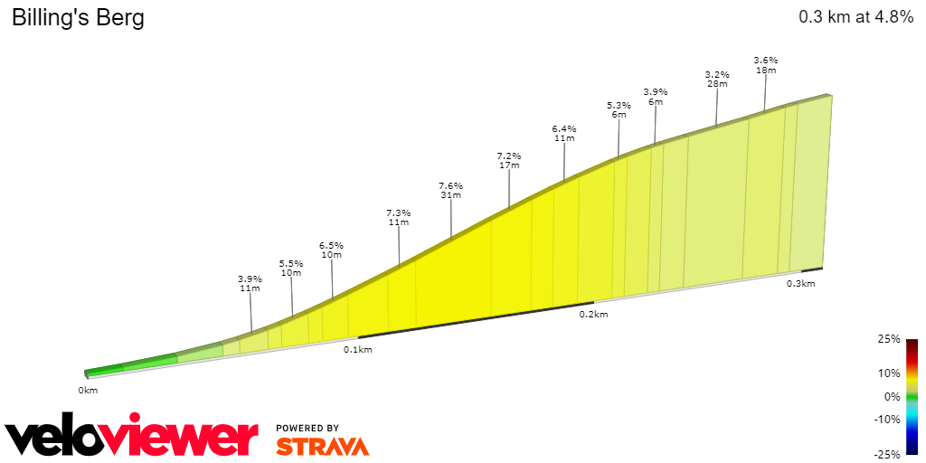 2D Elevation profile image for Billing's Berg