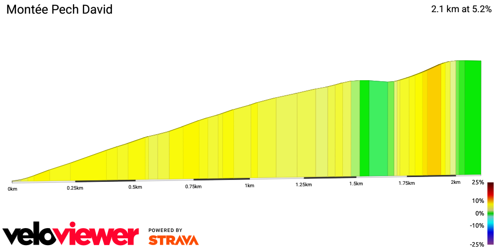 2D Elevation profile image for Montée Pech David