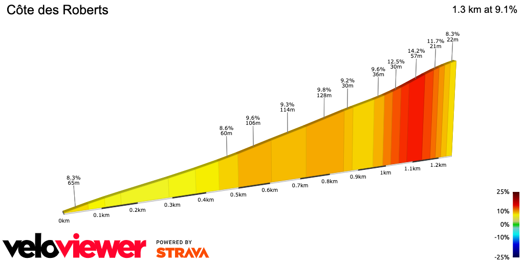 2D Elevation profile image for Côte des Roberts