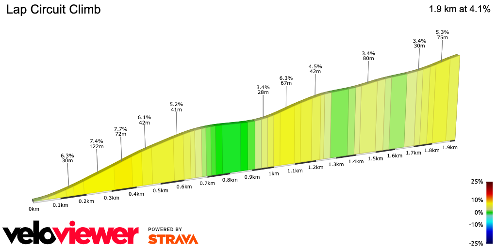 2D Elevation profile image for Lap Circuit Climb
