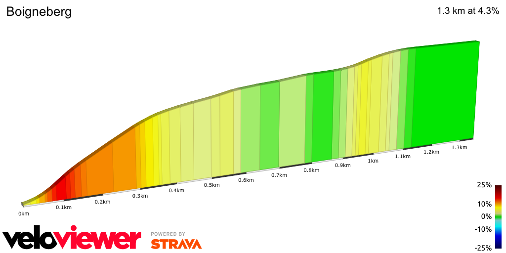 2D Elevation profile image for Boigneberg