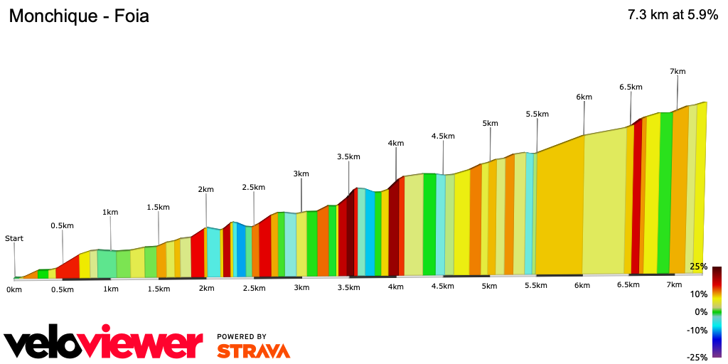 2D Elevation profile image for Monchique - Foia