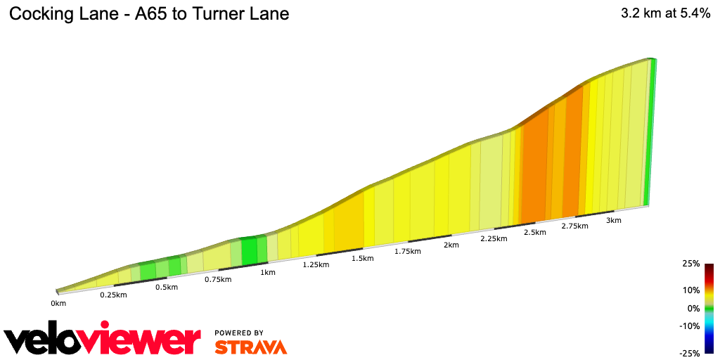 2D Elevation profile image for Cocking Lane - A65 to Turner Lane