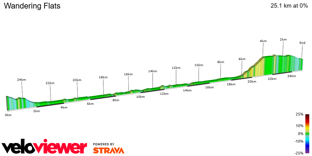 2D Elevation profile image for Wandering Flats