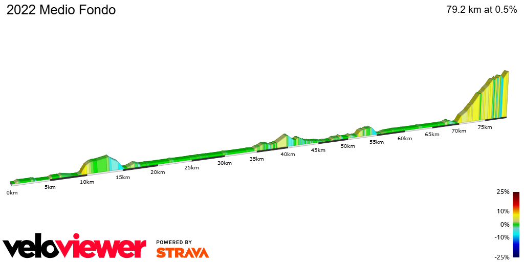 2D Elevation profile image for 2022 Medio Fondo