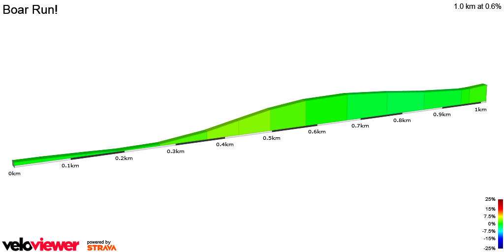 2D Elevation profile image for Boar Run!